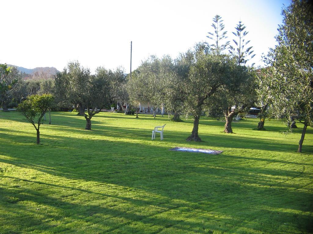 Dimaras Apartments Vasilikí Esterno foto
